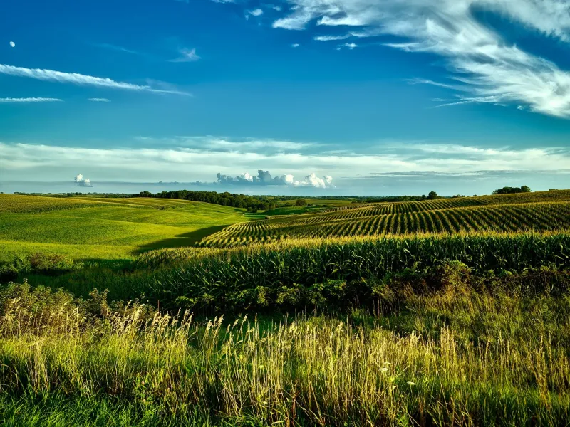 Strange Bedfellows, Real Results: When Iowa's Unions and Farm Bureaus Stopped Fighting and Started Dialing